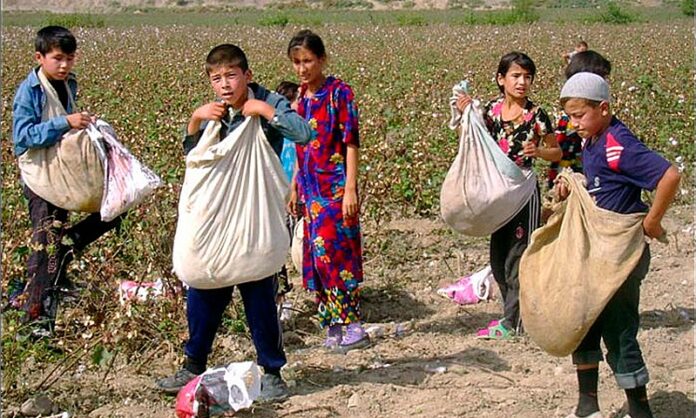 Uzbeka
