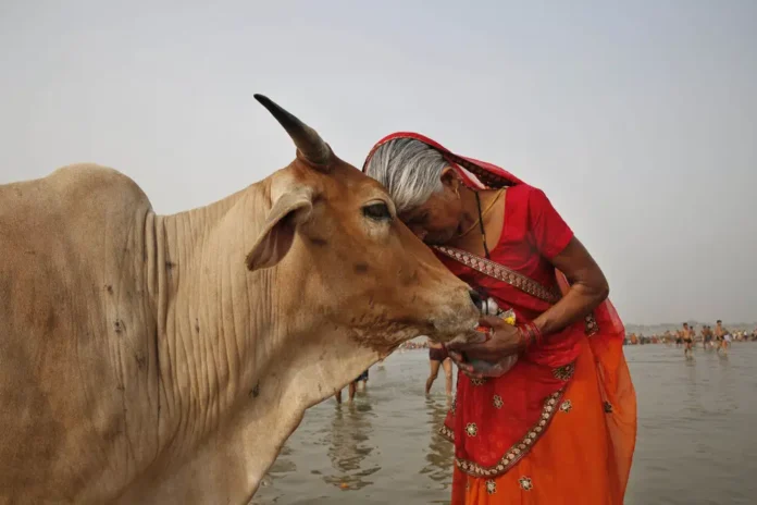 COW