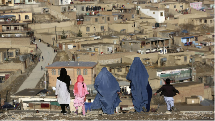 afghan