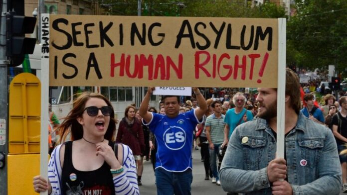 asylum right