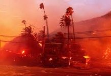 Los Angeles wildfires devour thousands of homes, death toll rises to 10 Los Angeles wildfires devour thousands of homes, death toll rises to 10
