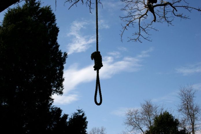 noose